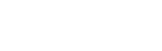 Logo Nexa